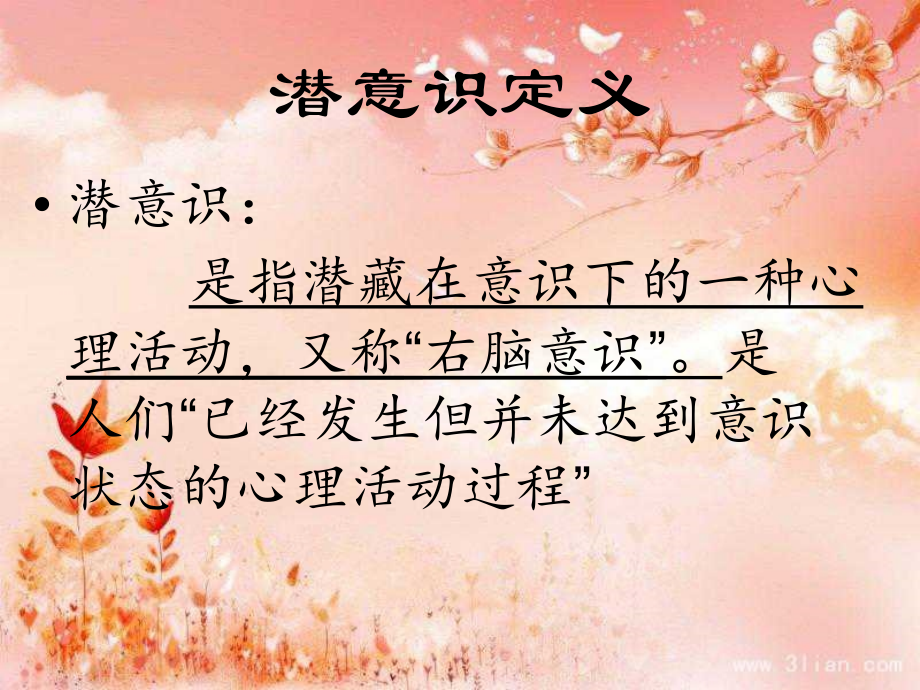 信念系统与理解层次.ppt_第2页