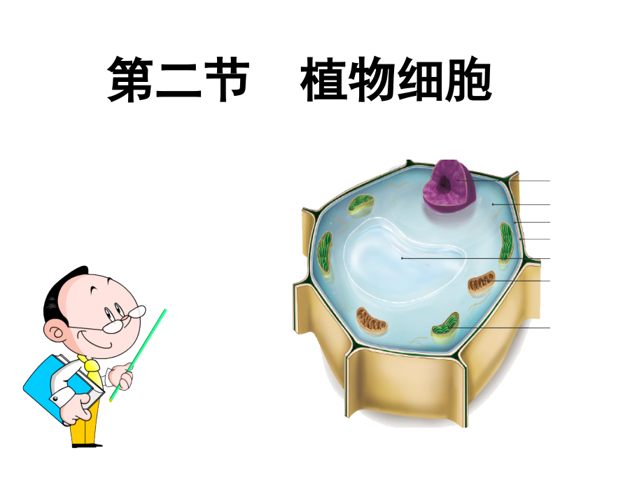 第二节植物细胞42.ppt_第1页