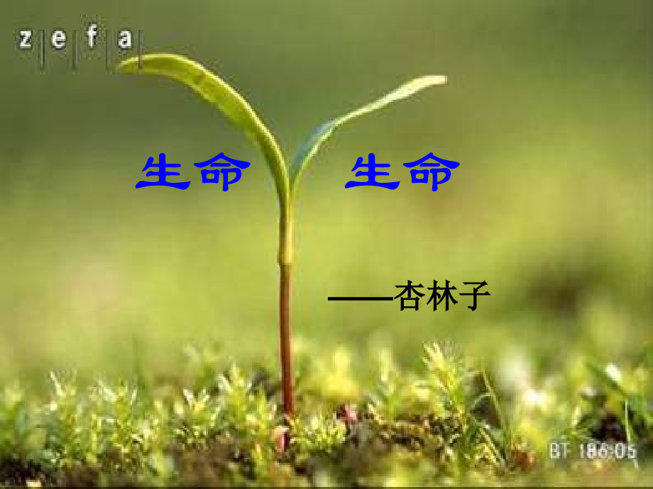 上册第十五课生命生命.ppt_第1页