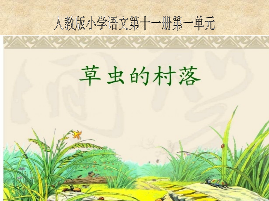 《草虫的村落》教学课件1.ppt_第1页