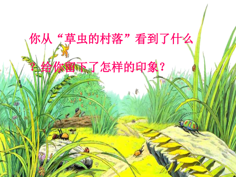 《草虫的村落》教学课件1.ppt_第2页