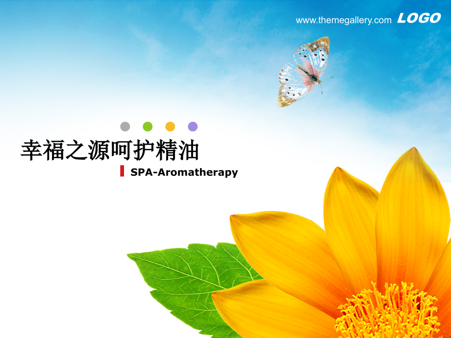 幸福之源呵护精油介绍PPT.ppt_第1页