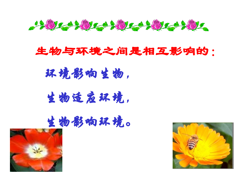 高一生物课件.ppt_第1页
