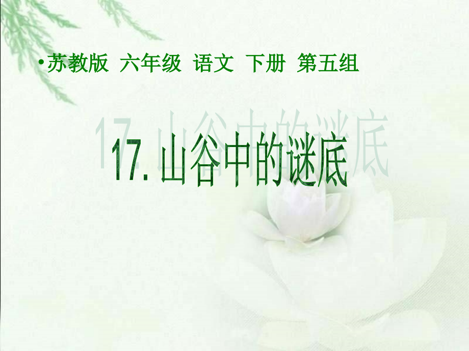 山谷中的谜底课件.ppt_第1页