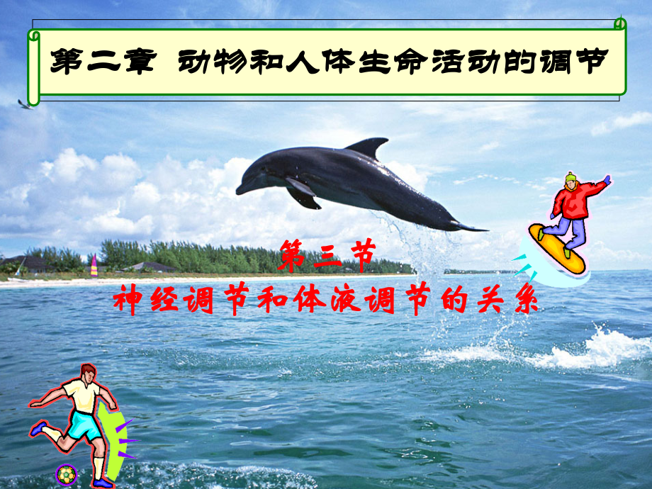 生物：23《神经调节与体液调节的关系》课件(新人教版必修3)(1).ppt_第1页