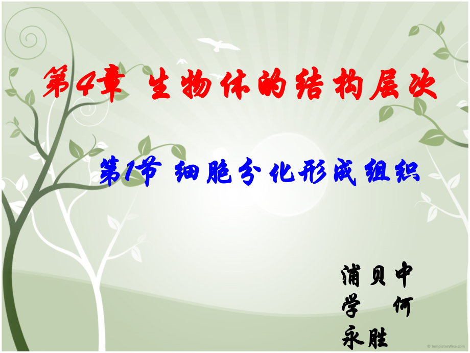 第1节__细胞分化形成组织.ppt_第1页