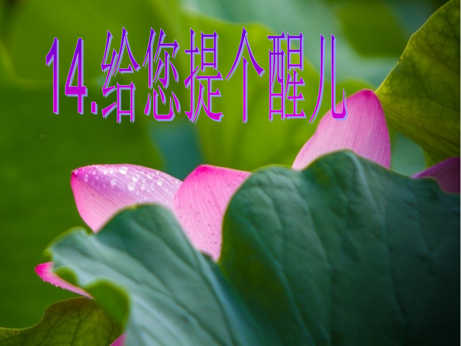 给您提个醒儿.ppt_第1页