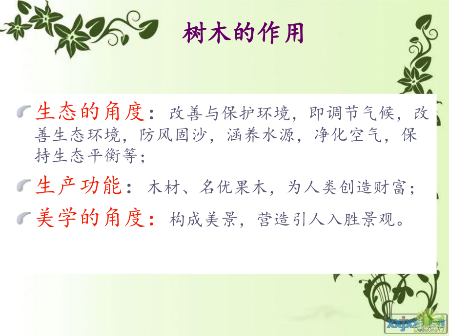 树木对环境的改善防护作用.ppt_第2页