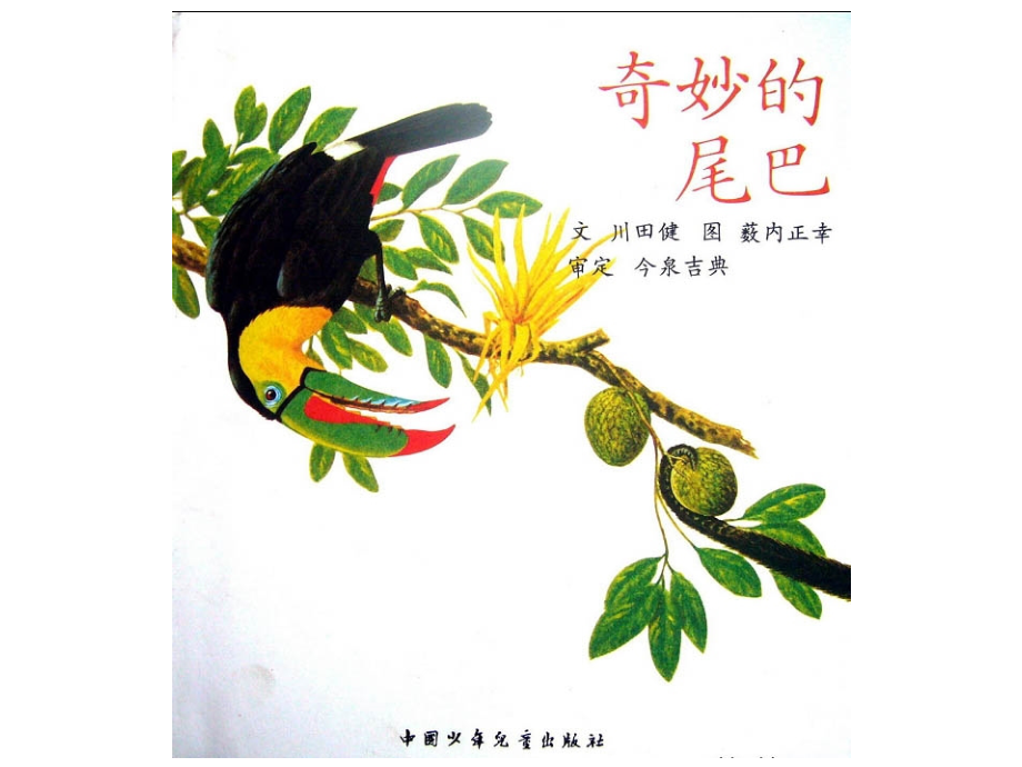 绘本《奇妙的尾巴》.ppt_第1页
