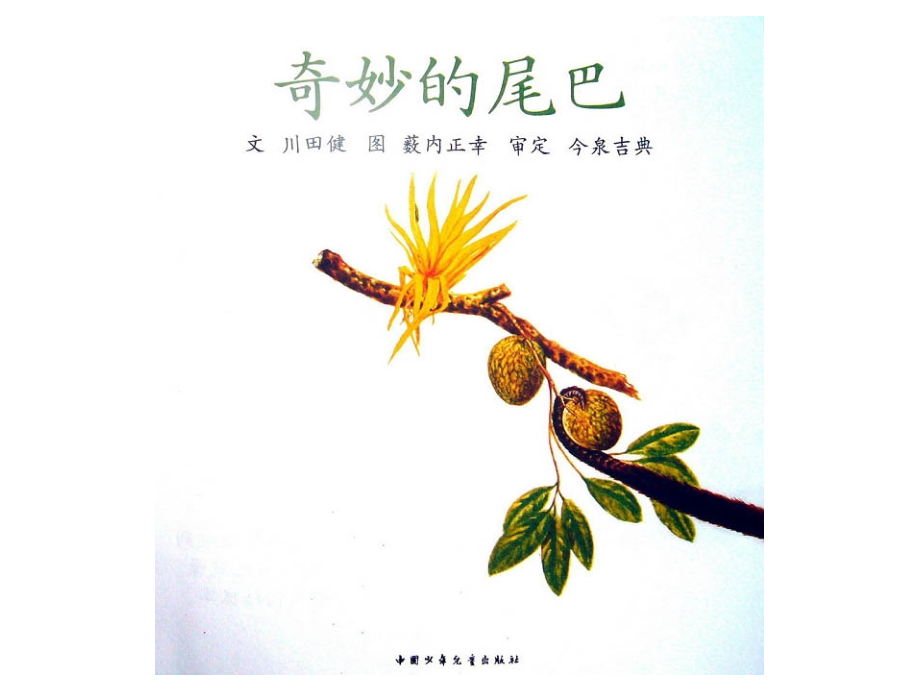 绘本《奇妙的尾巴》.ppt_第2页