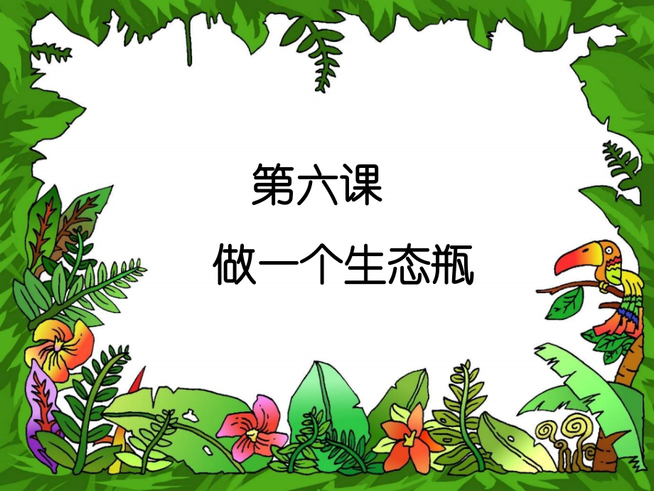 第六课做一个生态瓶.ppt_第1页