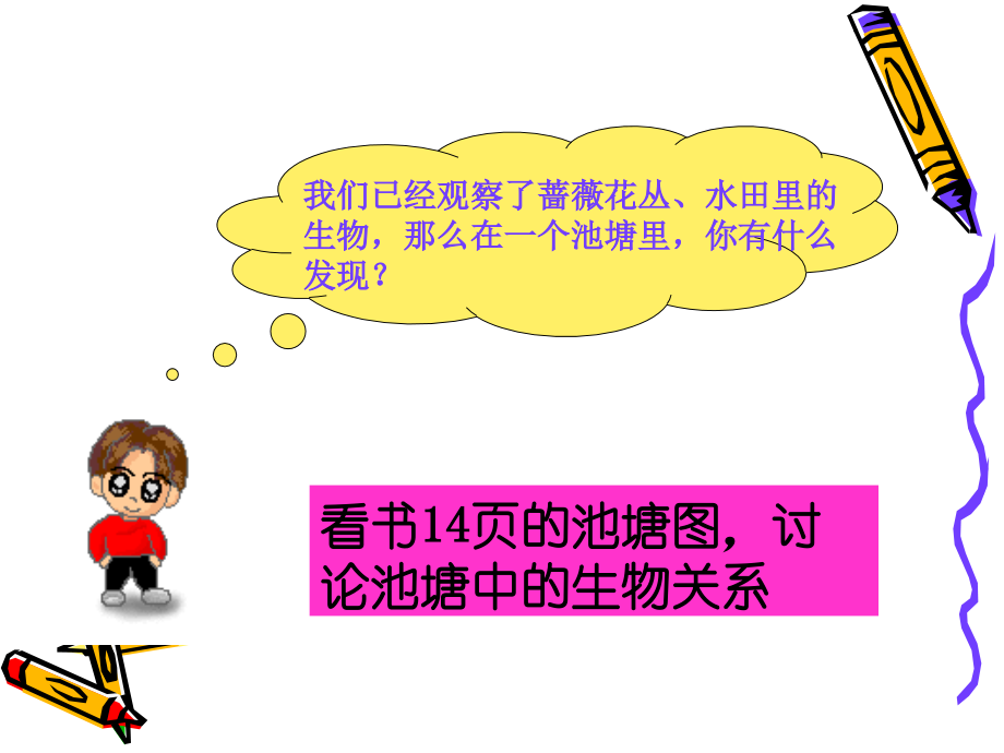 第六课做一个生态瓶.ppt_第2页