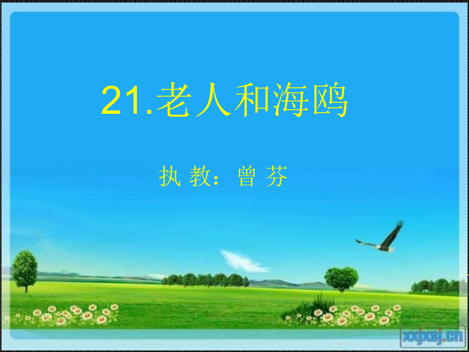 《老人与海鸥》PPT.ppt_第1页