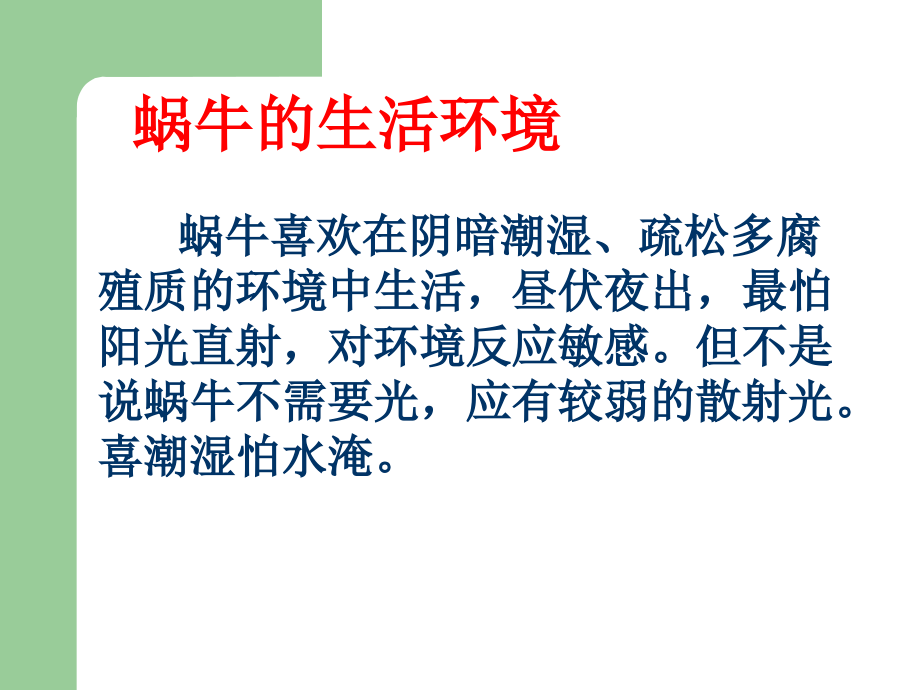教科版三年级上册科学蜗牛2课件.ppt_第2页