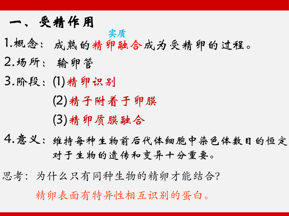 从受精卵谈起.pptx_第2页