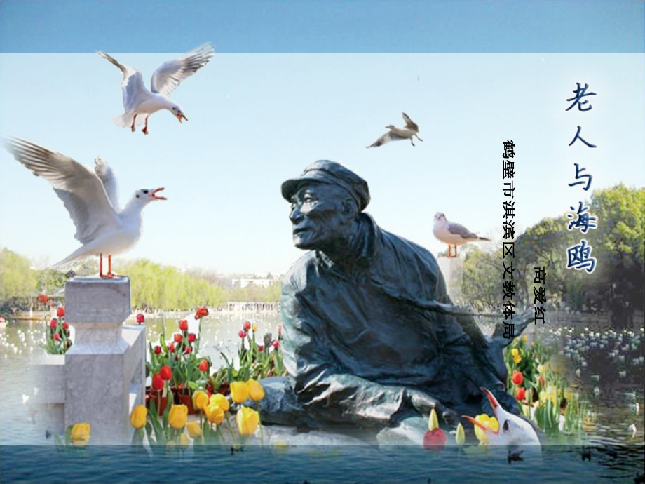 高爱红教学课件《老人与海鸥》.ppt_第1页