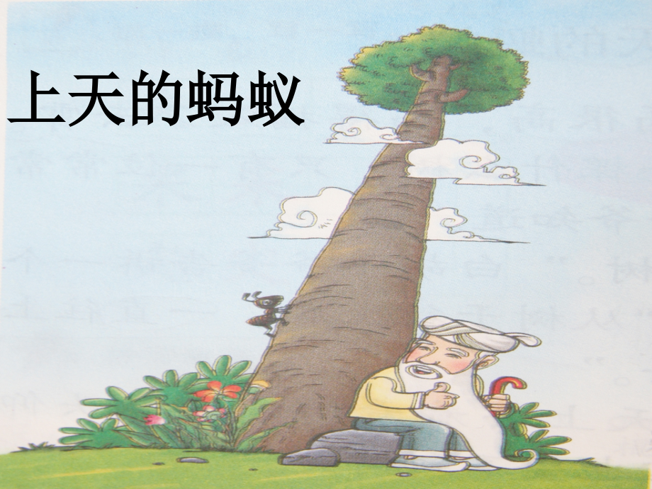 《上天的蚂蚁》课件xin.ppt_第1页