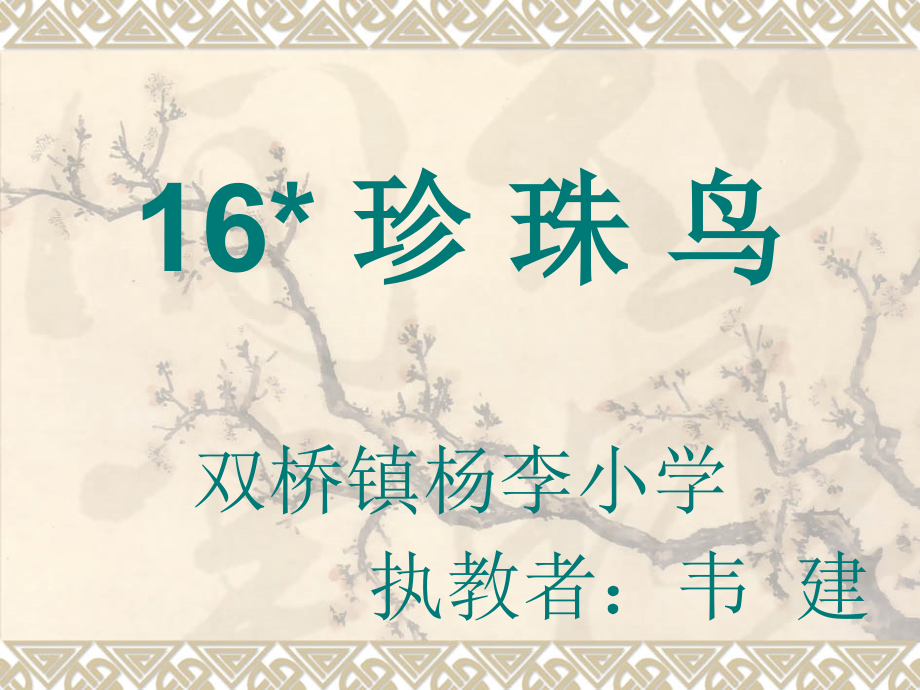 珍珠鸟课件1.ppt_第1页