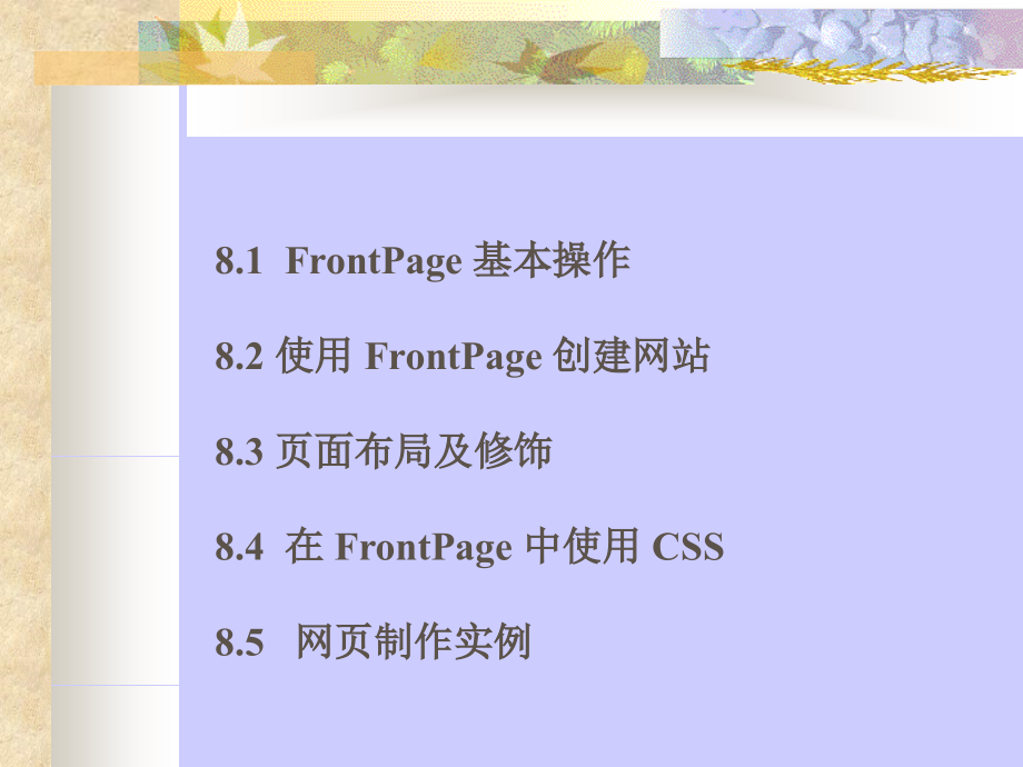 用FrontPage2000制作网页.ppt_第2页