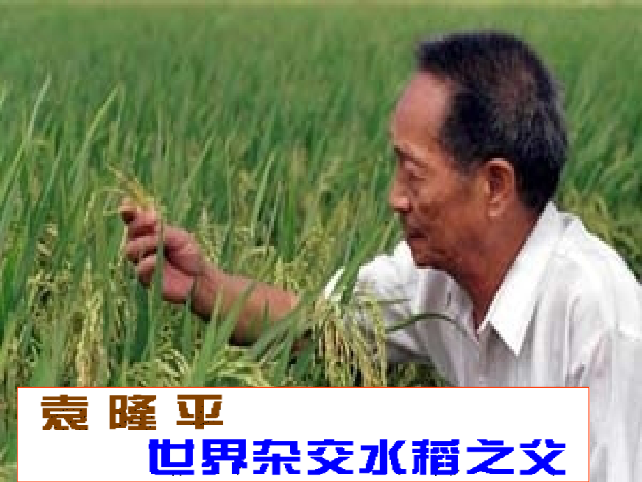 我校1+4课堂讲课案例.ppt_第1页