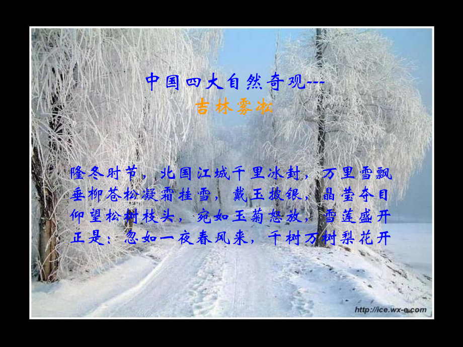 四年级上苏教版《雾凇》.ppt_第1页