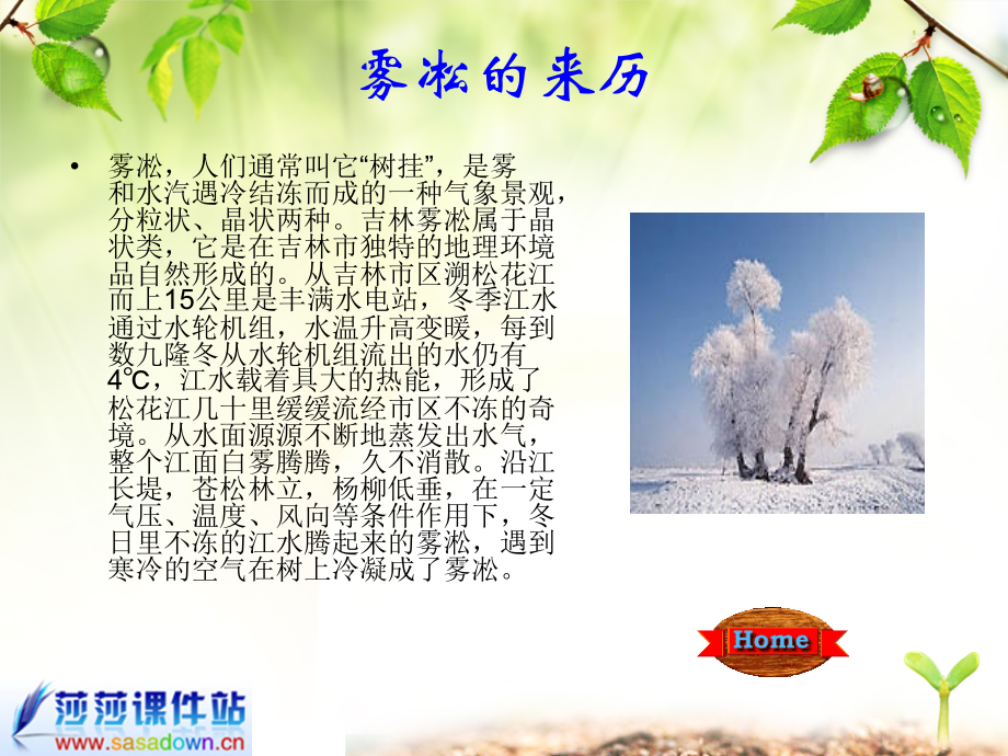 四年级上苏教版《雾凇》.ppt_第2页