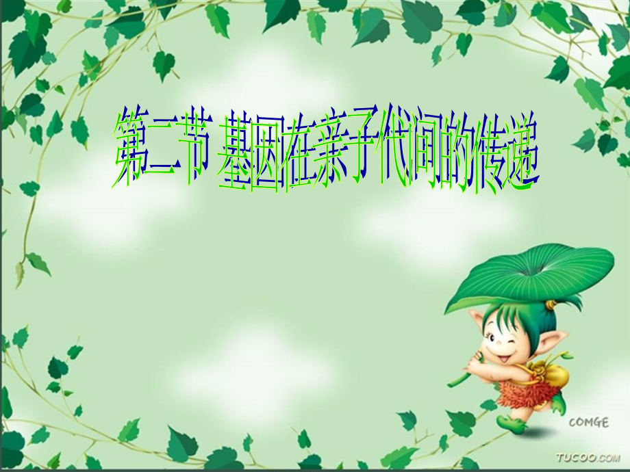 基因在亲子间的传递.ppt_第2页