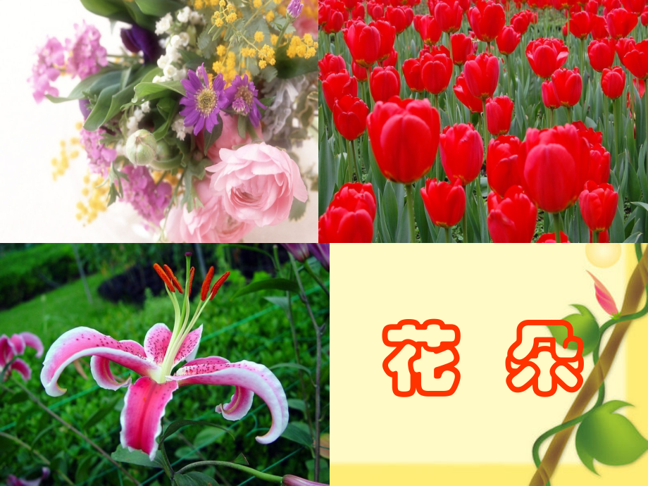 一年级上册《花朵》(府佑小学马亚玲).ppt_第2页