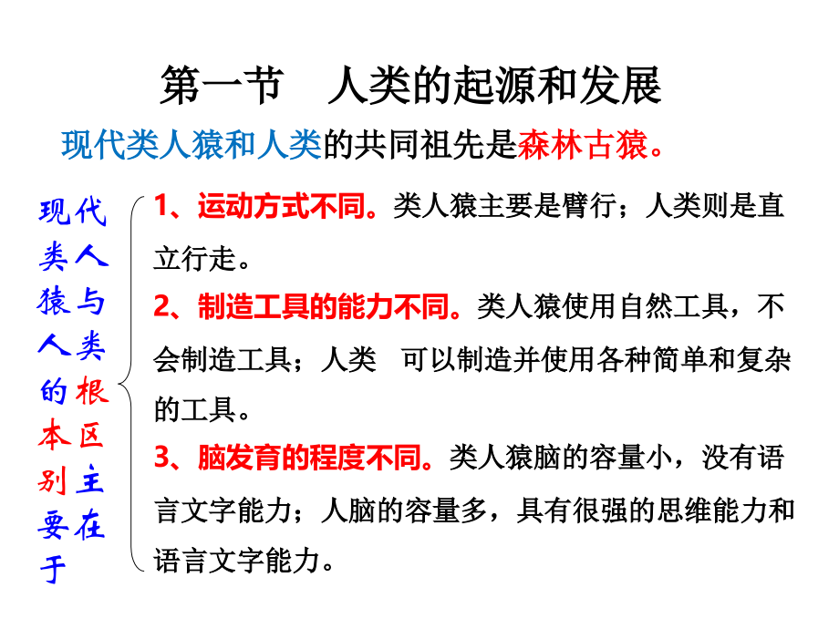 第一章人的由来复习.pptx_第1页