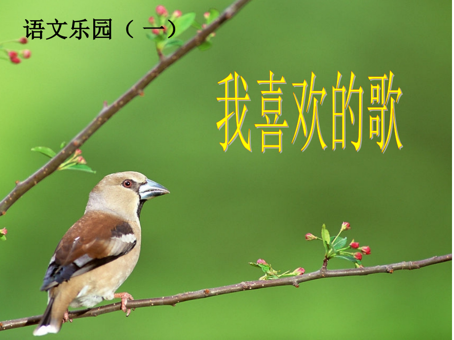 习作四上课件.ppt_第2页