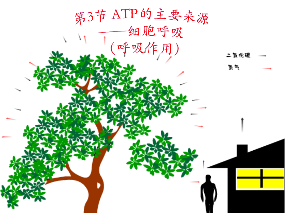 细胞呼吸第二课时.ppt_第2页