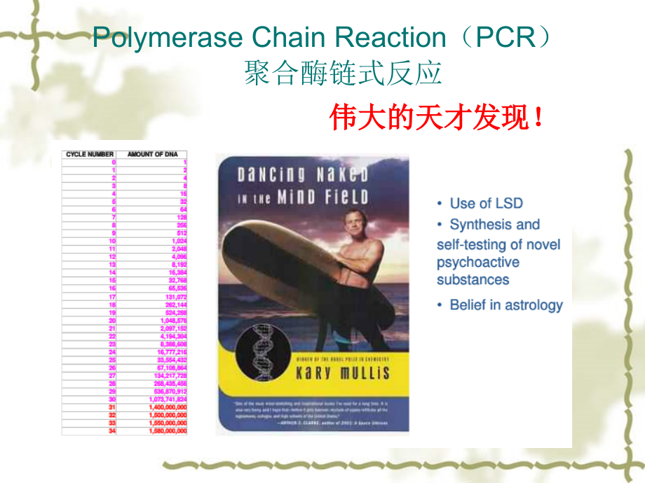 实时定量PCR.ppt_第2页