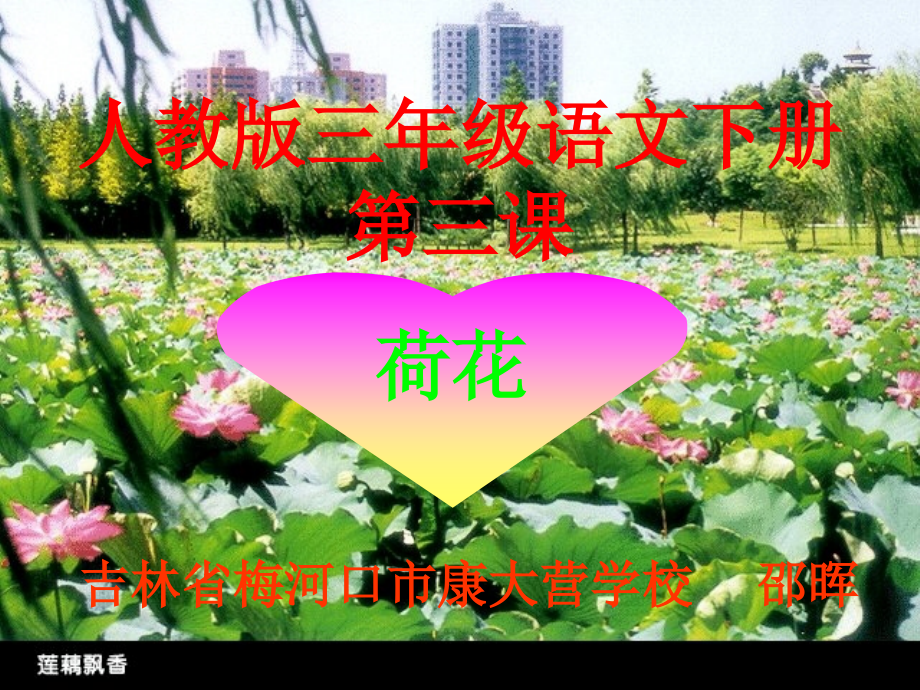 人教版三年级语文下册《荷花》.ppt_第1页