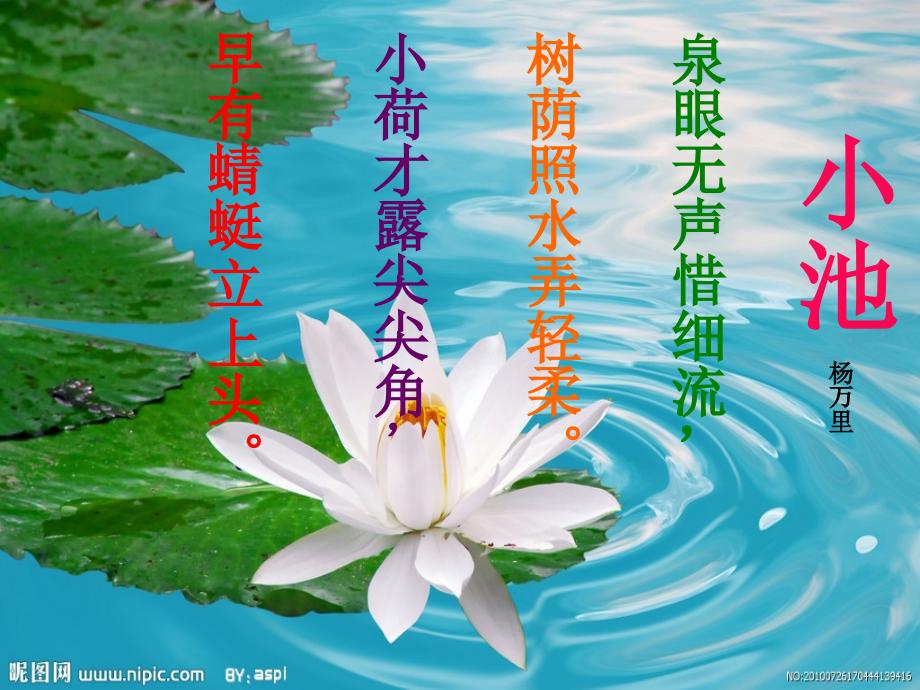 人教版三年级语文下册《荷花》.ppt_第2页