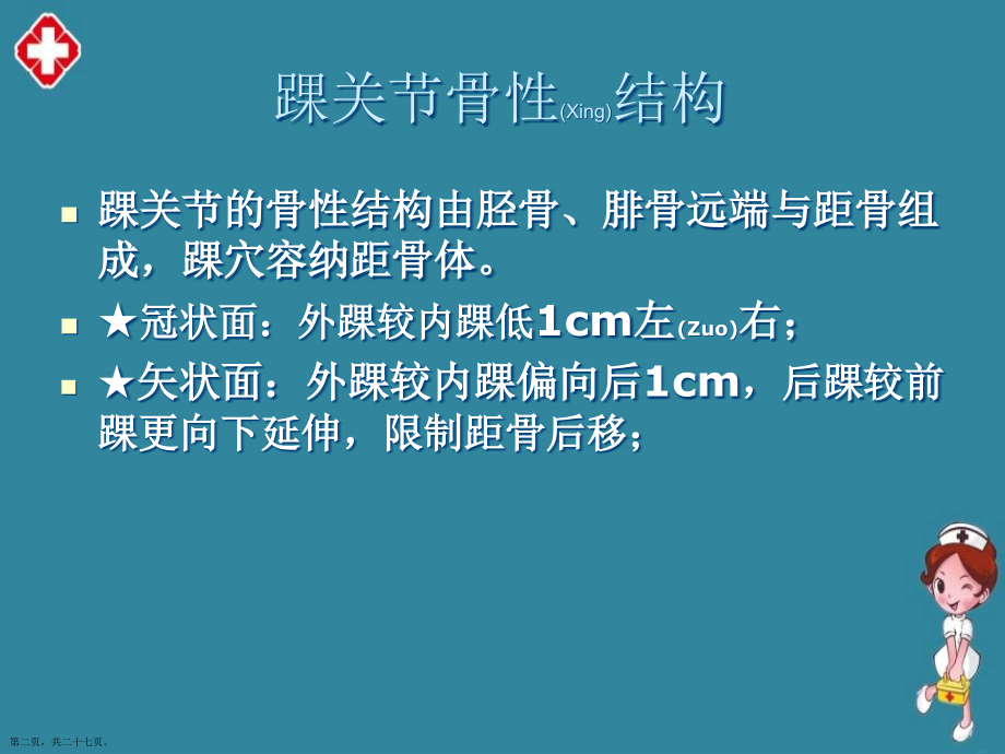 踝关节解剖教学借鉴.pptx_第2页