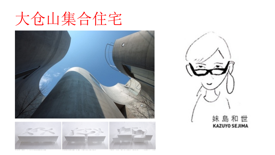 大仓山集合住宅.pptx_第1页