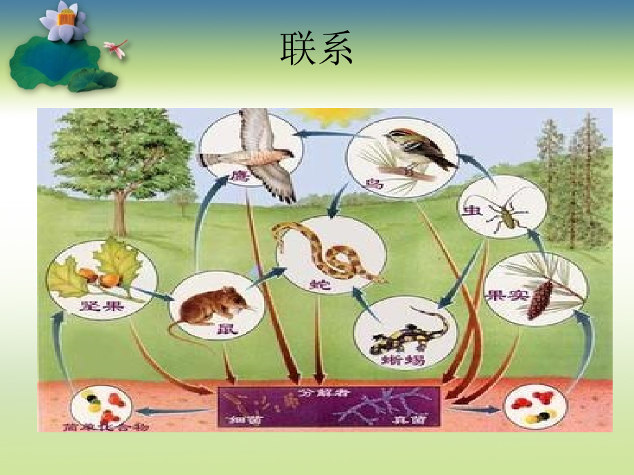 辩证-认识-史观.ppt_第2页