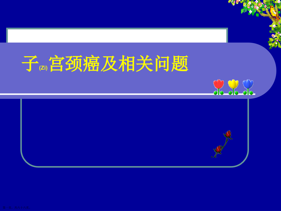 子宫颈癌及相关问题范例.pptx_第1页