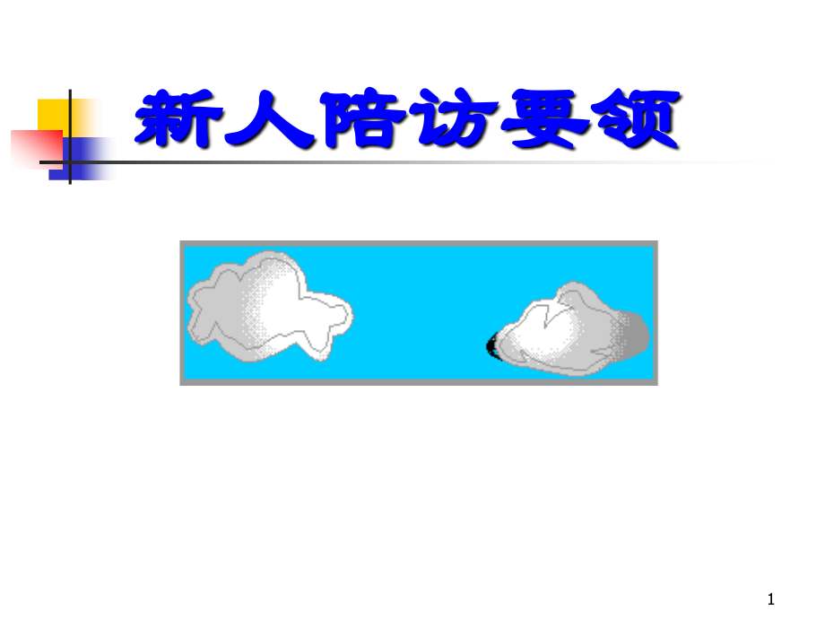 新人陪访要领.ppt_第1页