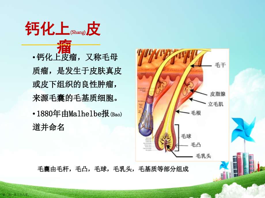 钙化上皮瘤的超声治疗及案例介绍.pptx_第2页