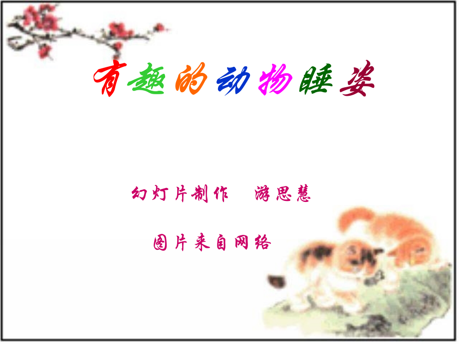 有趣的动物睡姿【wq发】.ppt_第1页