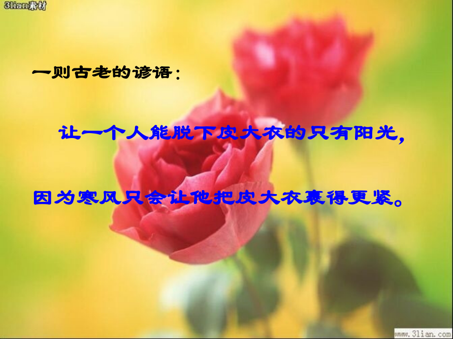 班主任工作感悟.ppt_第1页