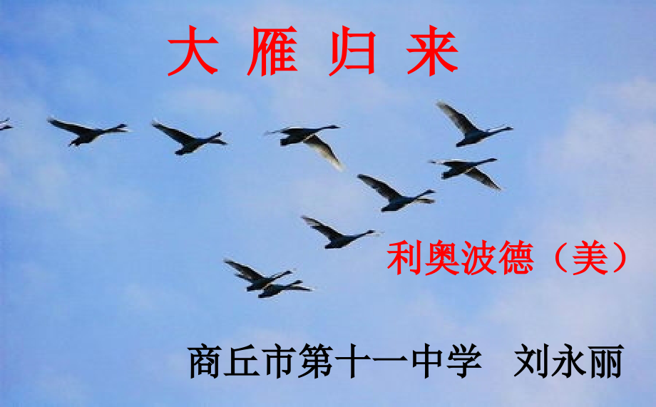 大雁归来.大雁归来.ppt_第1页