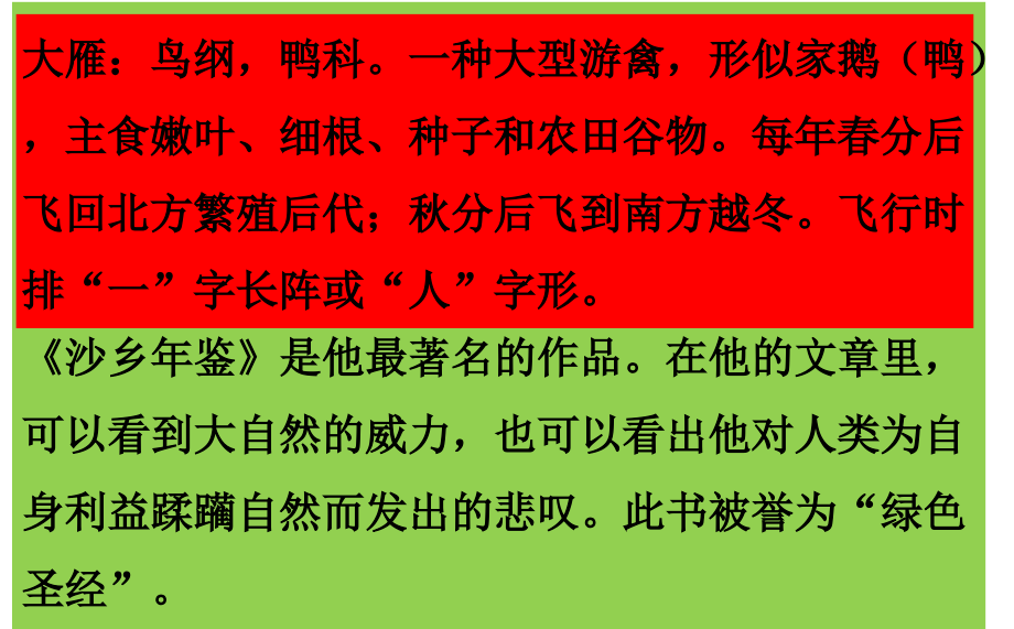 大雁归来.大雁归来.ppt_第2页