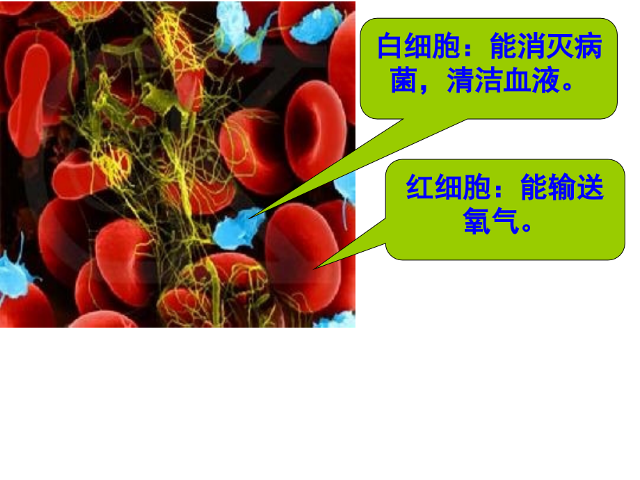 人教版四年级数学上册《整万数改写成以“万”为单位的数》.ppt_第1页