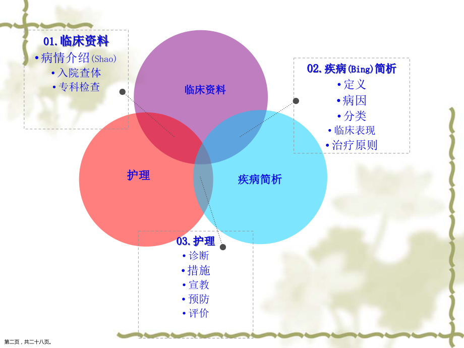 肛裂护理及病例汇报.pptx_第2页