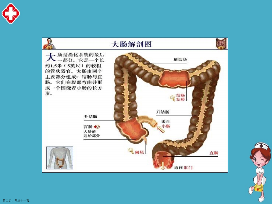 直肠癌的护理及注意事项.pptx_第2页