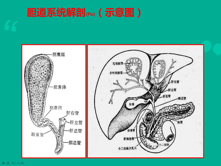胆囊癌诊断及治疗学习.pptx_第1页