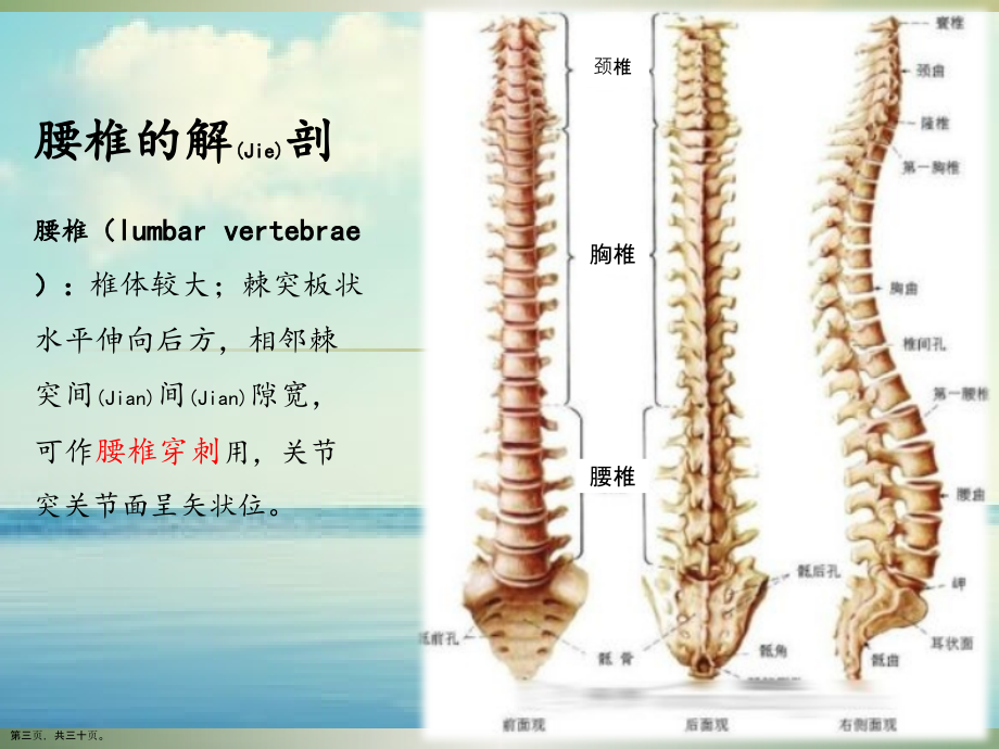 腰椎骨折病人的护理演讲.pptx_第2页