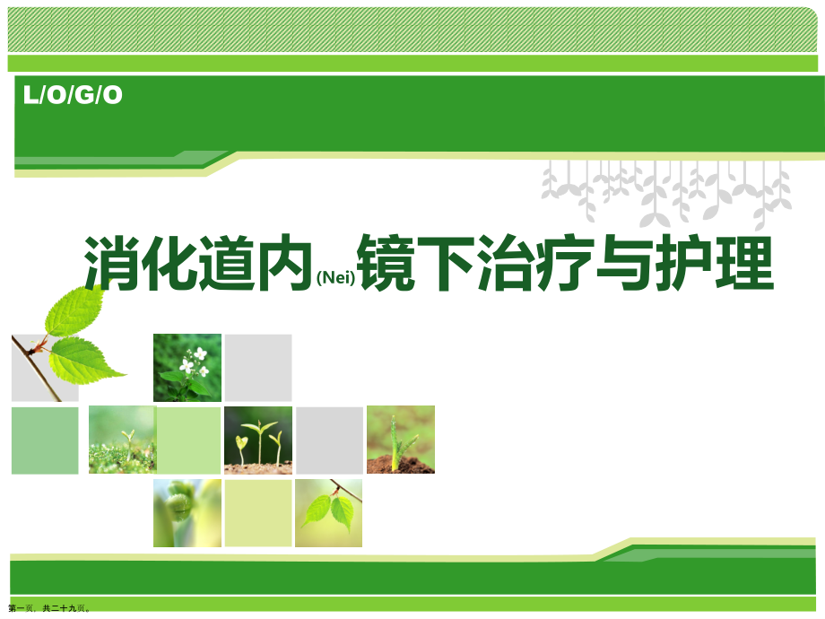 消化道内镜下治疗护理及治疗.pptx_第1页